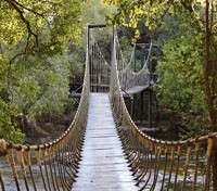walkway